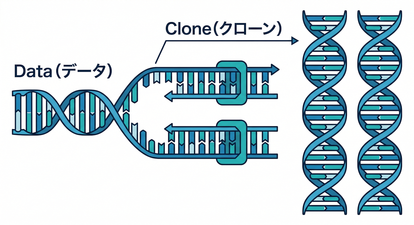 Structured DNA